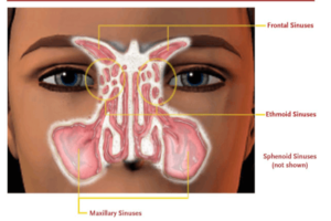 snoring specialist Singapore