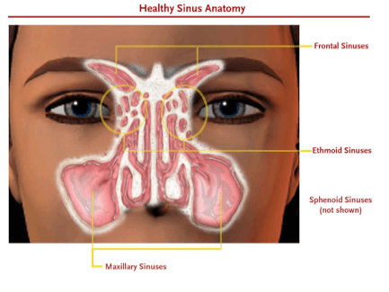 snoring specialist Singapore