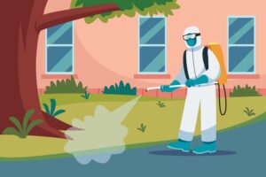 How to Choose the Right Pest Control Management Services in Singapore