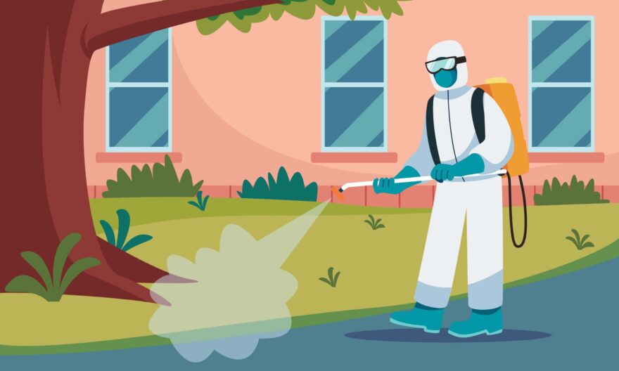 How to Choose the Right Pest Control Management Services in Singapore