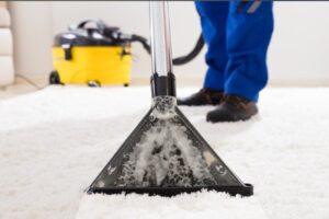 carpet shampoo cleaning service
