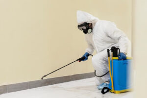 Pest Control in Klang