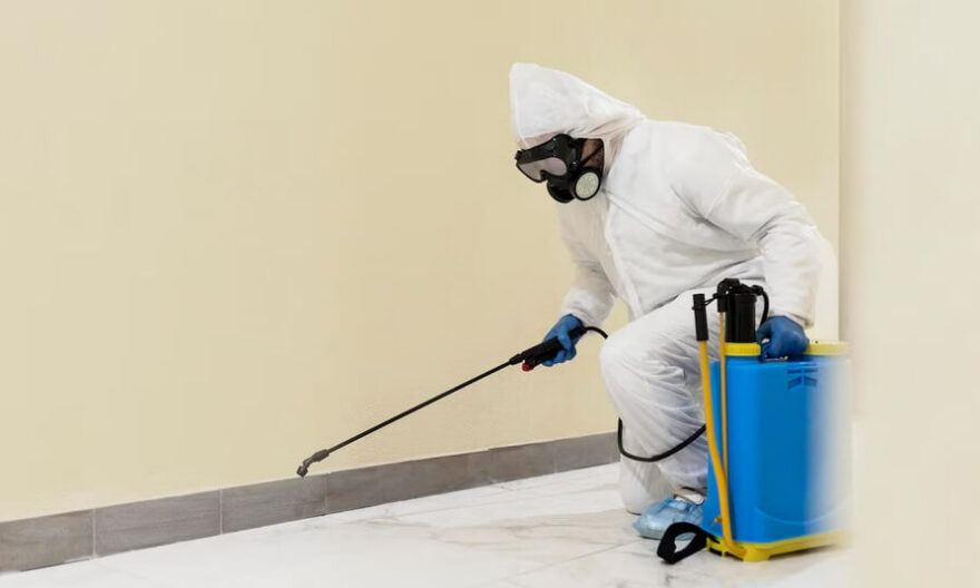 Pest Control in Klang