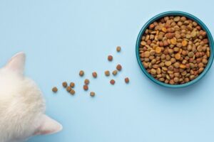 Pet Nutritionist in Singapore
