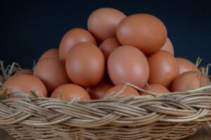 Singapore's egg suppliers