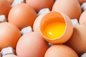 liquid egg suppliers
