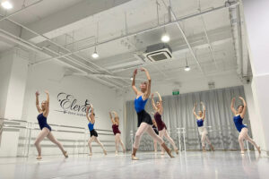 Dance academy