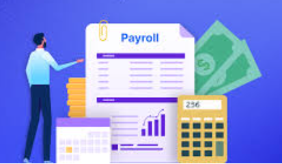 HR software with payroll outsourcing