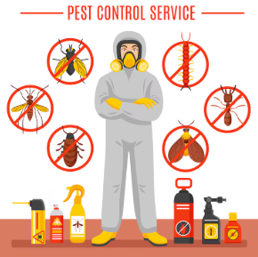 pest control melaka