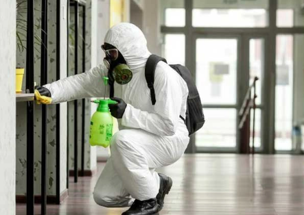 disinfection services in johor bahru
