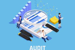 Company Statutory Audit - audit certification