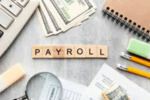 HR software with payroll outsourcing