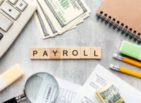 HR software with payroll outsourcing