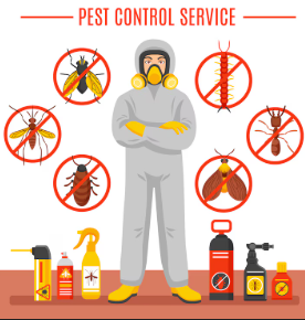 pest control kl