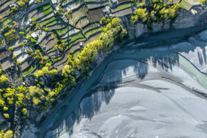 Landscape Asset Management