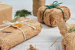 sustainable packaging solutions