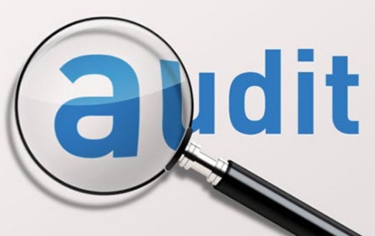 Company Statutory Audit - audit certification