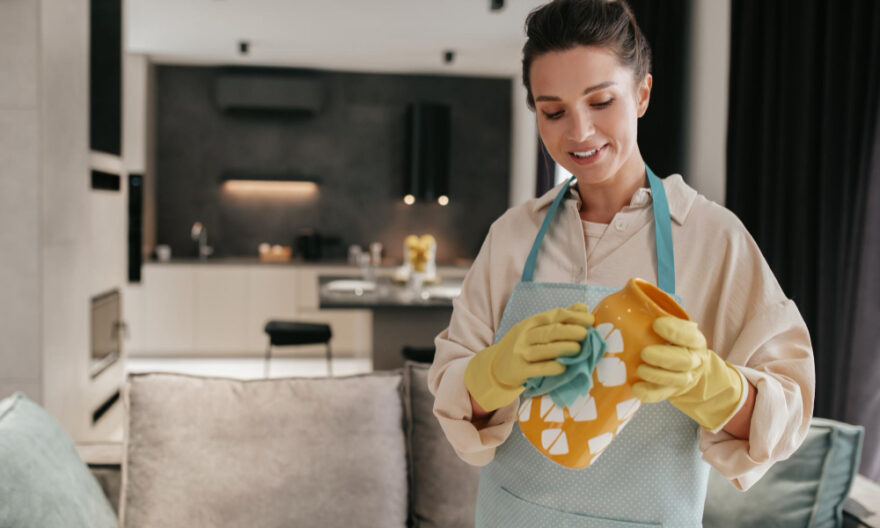 House Cleaning Services