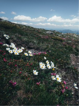 Funeral service singapore