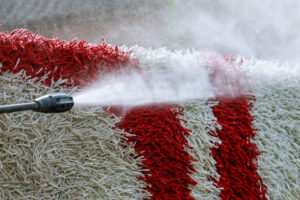 Carpet Cleaning Services