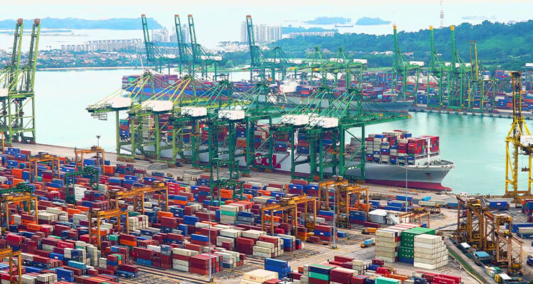 sea freight companies