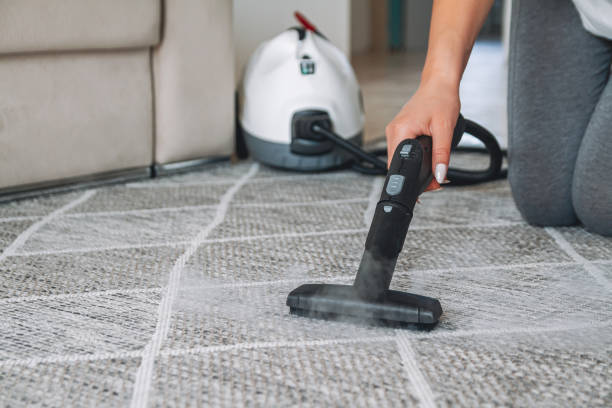 carpet cleaning services