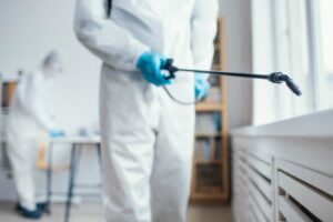Why Termite Pest Control Is Essential in Singapore
